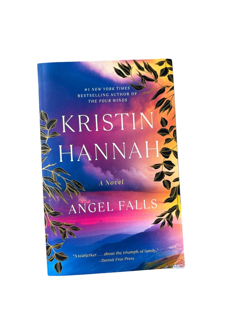 Kristin Hannah "Angel Falls" Paperback Book - Vibrant Multicolor Cover